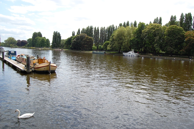 d0104926_6453218.jpg
