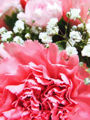c0188928_21122669.gif