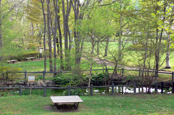 a0046429_23233190.jpg