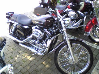 a0099129_23111258.jpg
