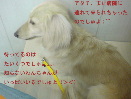 c0117831_21552634.jpg