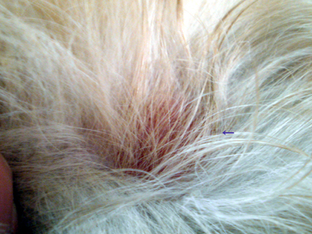 c0117831_2214974.jpg