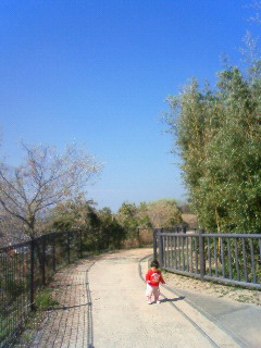 e0036931_15382560.jpg