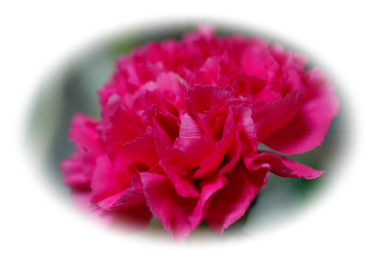 a0017634_21461692.jpg