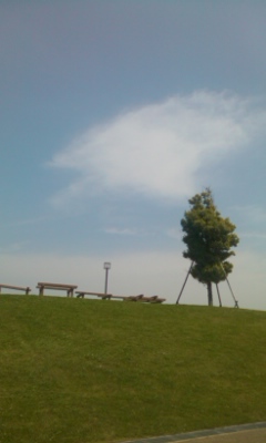 c0100534_17391260.jpg