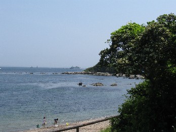 a0013236_145594.jpg