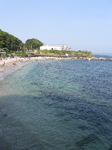 a0013236_151844.jpg