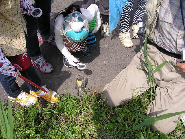 b0099538_19514935.jpg