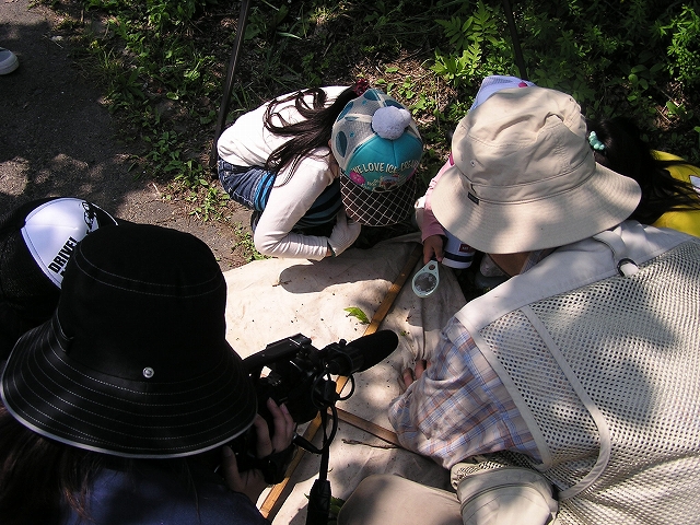b0099538_1956626.jpg