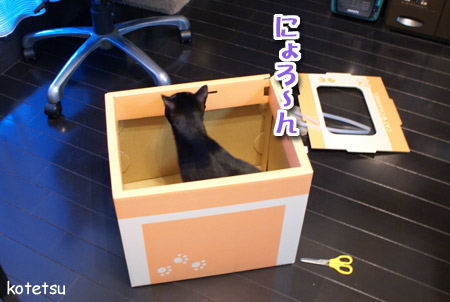 c0132438_21264753.jpg