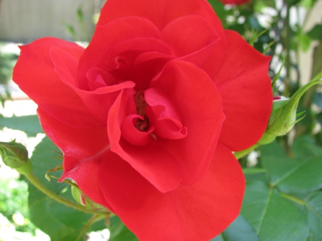 c0077741_2215611.jpg