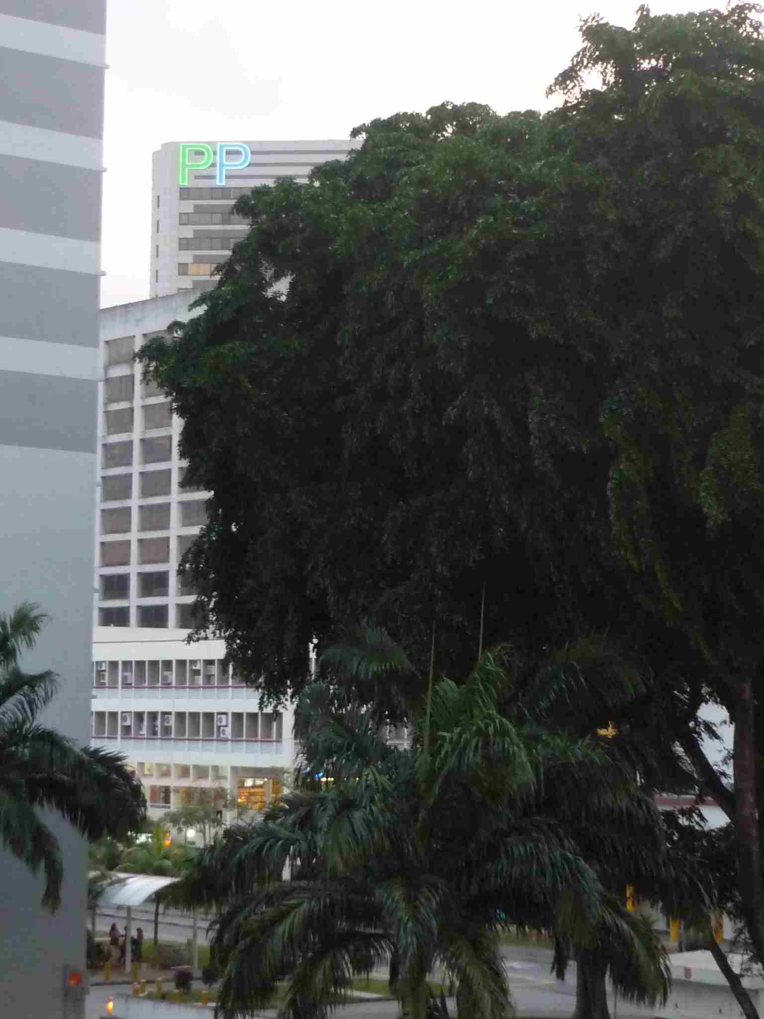 c0119242_143727.jpg