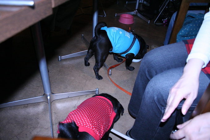 a0051443_2013275.jpg