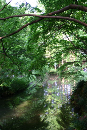 f0094843_12498.jpg