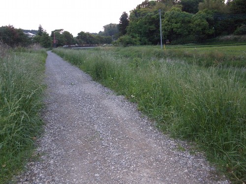 a0081944_0295363.jpg