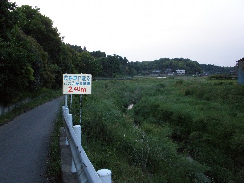 a0081944_0301582.jpg