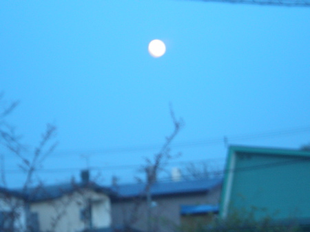 c0153444_10533083.jpg