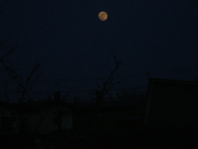 c0153444_10542193.jpg