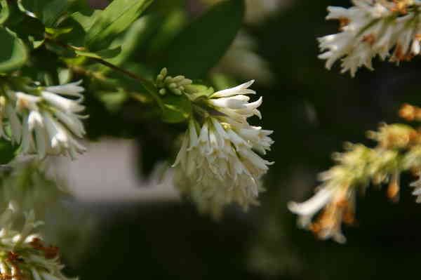 e0111346_13483031.jpg
