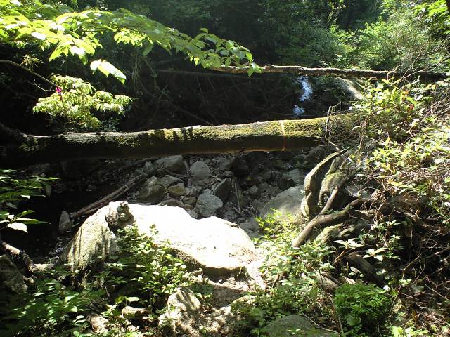 b0002156_23132320.jpg