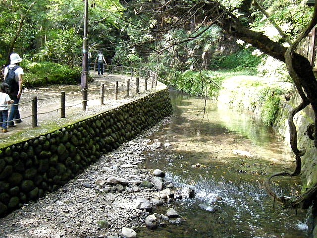 e0129656_21133485.jpg