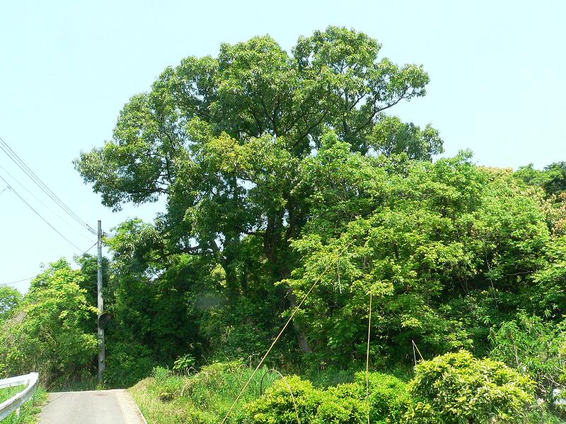f0201157_1828518.jpg
