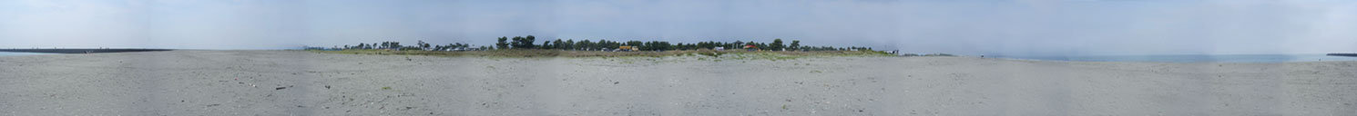 d0029958_1435917.jpg