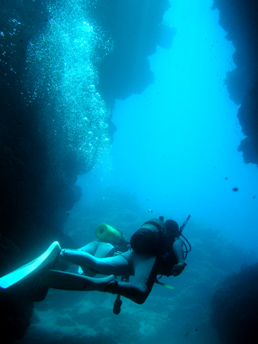 b0062363_7265339.jpg