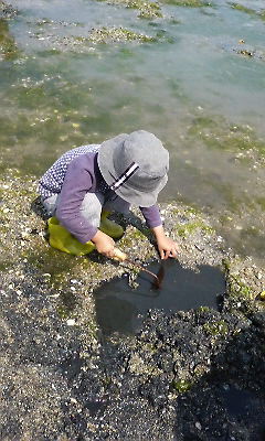 f0131263_1642747.jpg