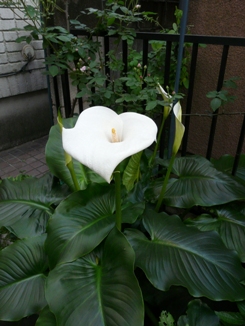 f0195963_2063014.jpg