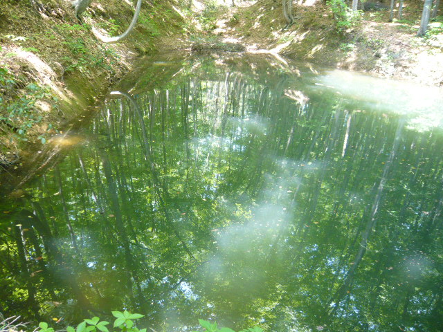 c0100865_15295978.jpg