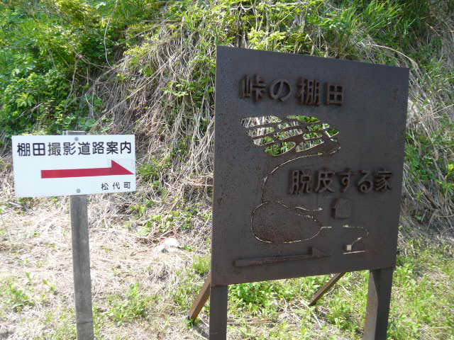 c0100865_15342653.jpg