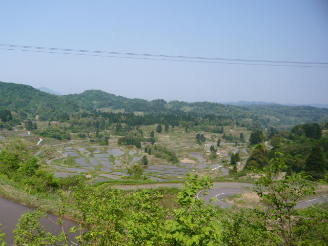 c0100865_15354010.jpg