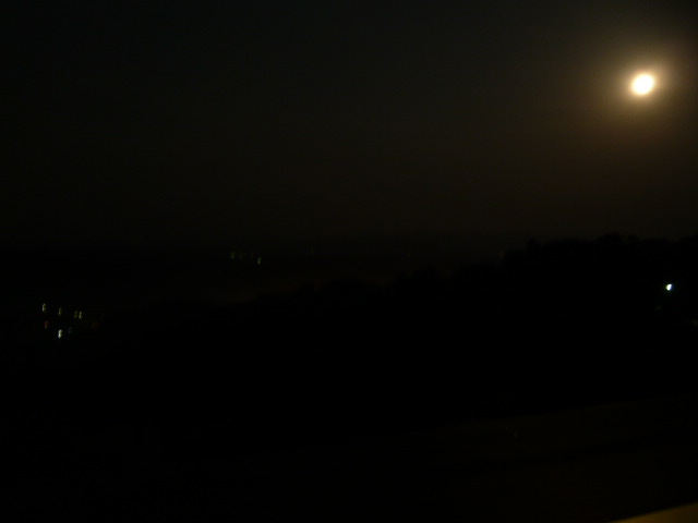c0100865_1543518.jpg