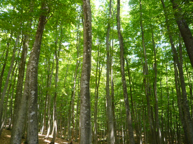 c0100865_155416100.jpg
