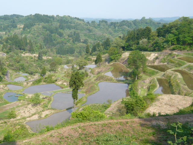 c0100865_19512819.jpg