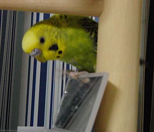 f0196665_0523538.jpg