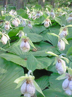f0180166_22263260.jpg