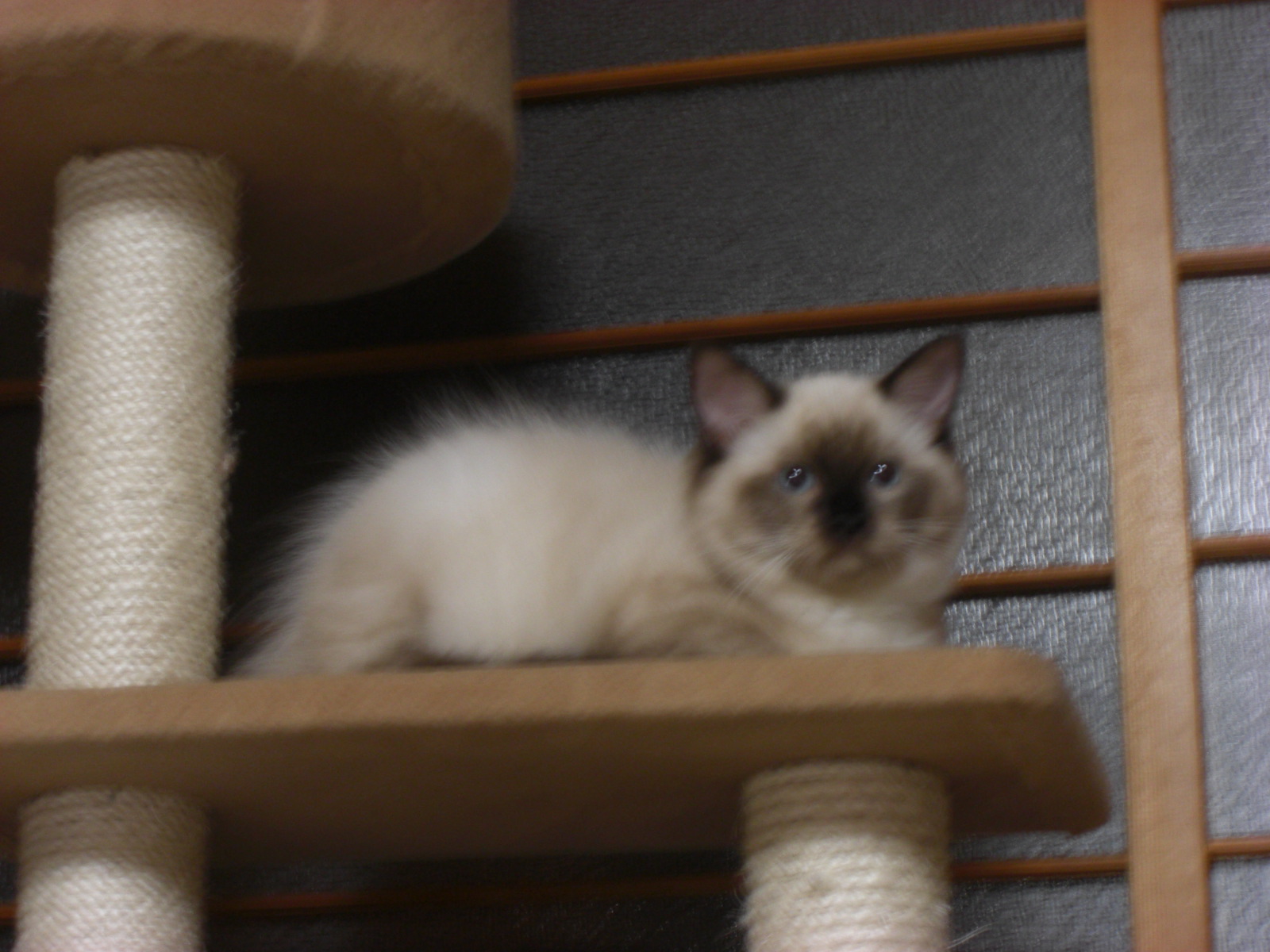 f0200666_1721379.jpg