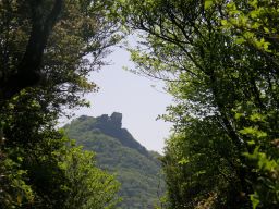 c0042869_19523786.jpg