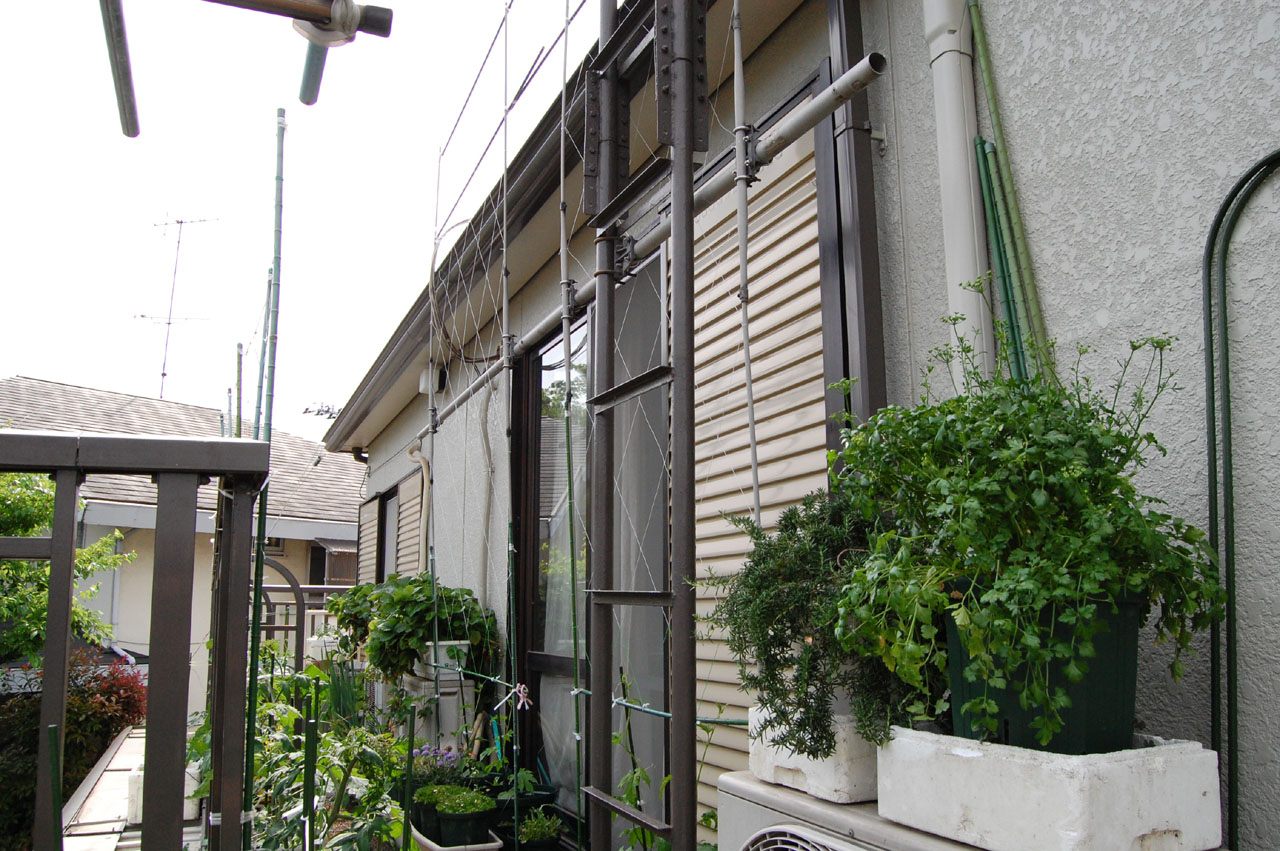c0199370_1459477.jpg