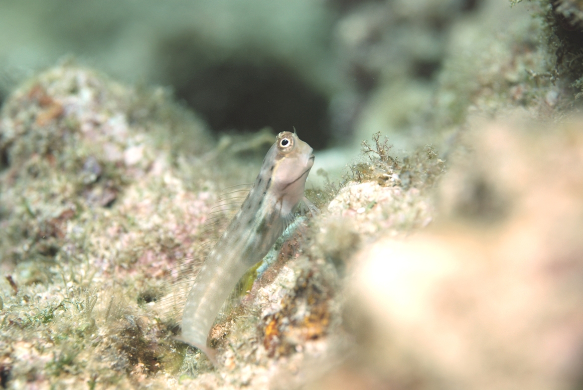 c0181073_1145645.jpg
