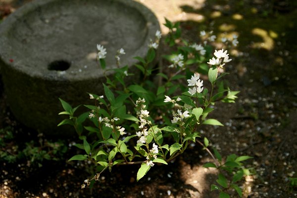 d0030373_2123344.jpg