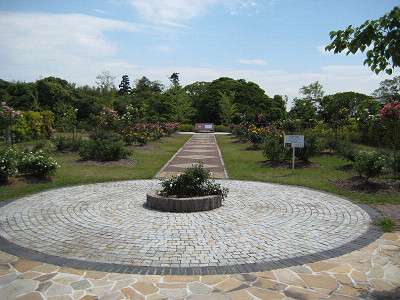 f0003174_15274412.jpg