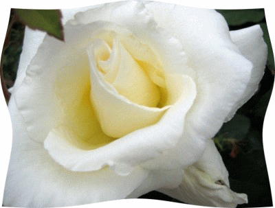 f0003174_15335034.gif