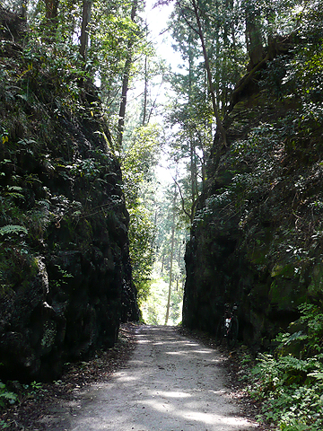 c0107075_20105065.jpg