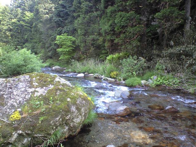 a0093677_17205765.jpg