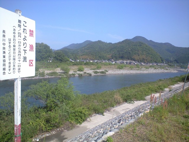 a0093677_173365.jpg