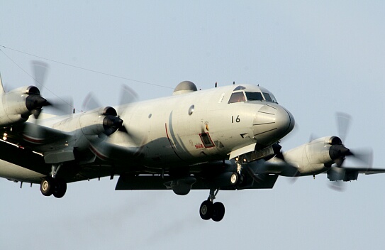 c0073377_4114827.jpg