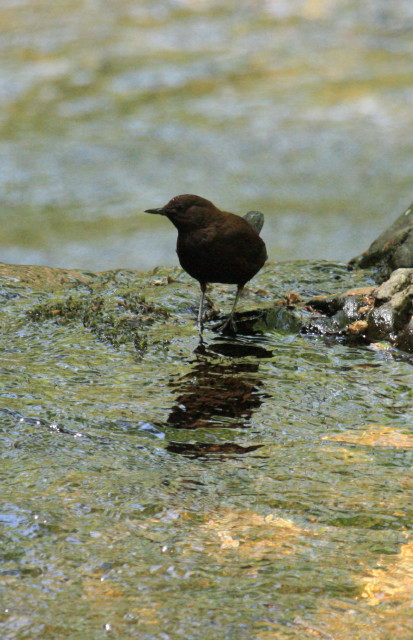 c0148777_16102157.jpg